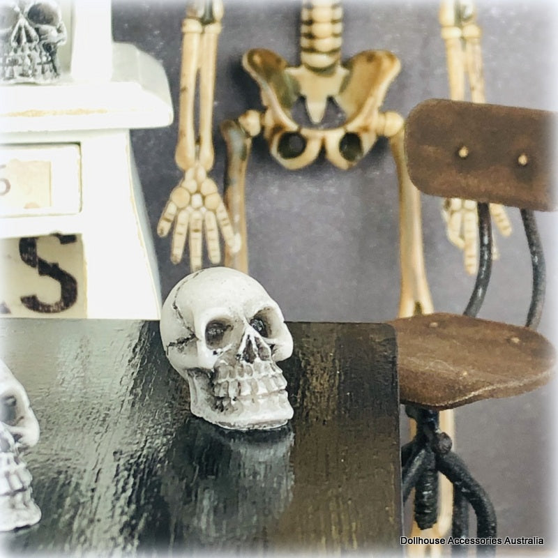 Old Skull x 1 - Miniature