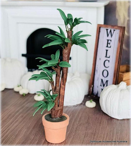 Potted Houseplant - Miniature