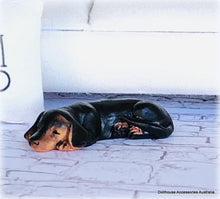 Dachshund Dog - Sleeping - Miniature