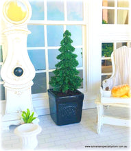 Fir Tree in Black Planter Pot - 12 cm high - Miniature