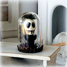 Skull Curio in Jar