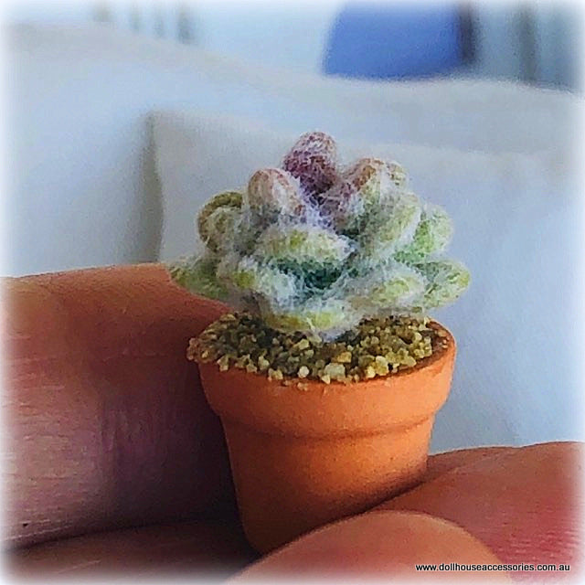 Dollhouse miniature cactus succulent cacti