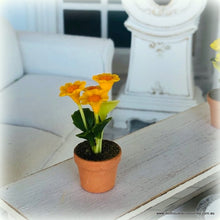 Daisy Gerbera - Yellow/Orange - Miniature