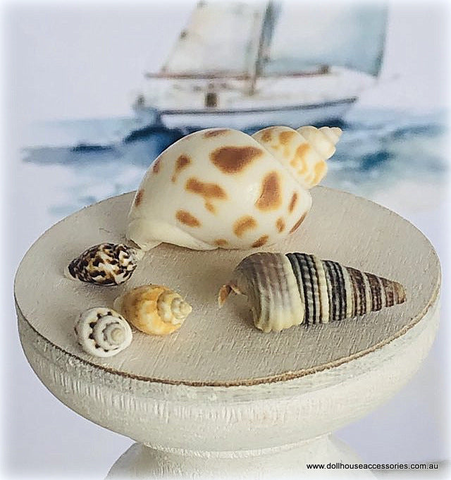 Dollhouse miniature tiny sea shells nautical diorama