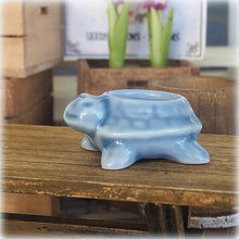 Turtle Planter Pot - Blue