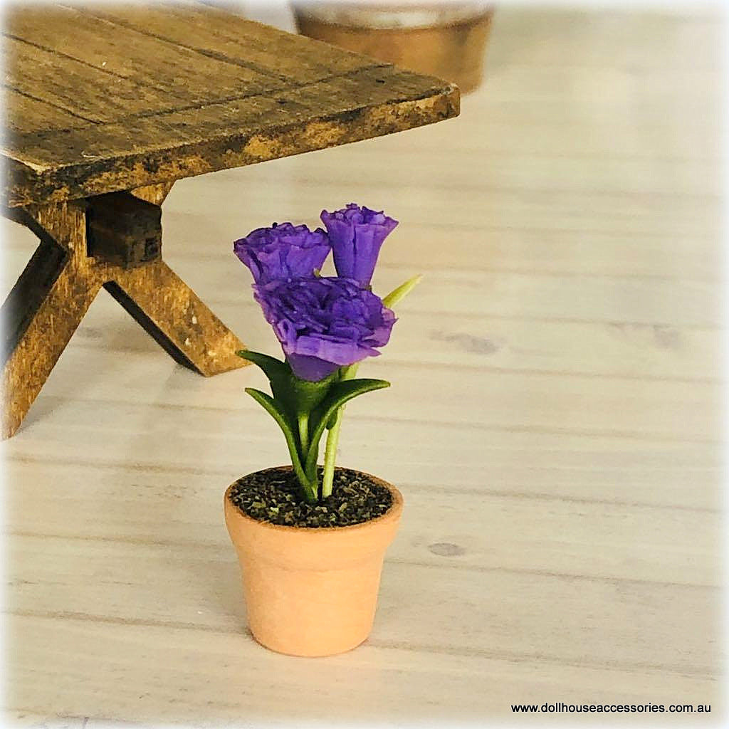 Purple Carnation in Pot - Miniature