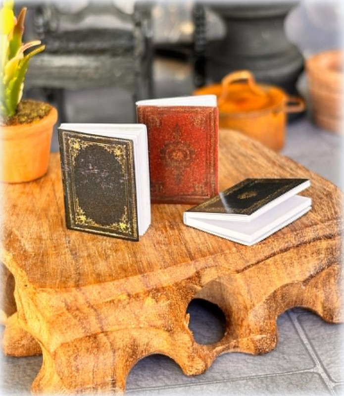 Set of 3 Books - Old style - Miniature