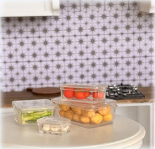 Clear Empty Storage Containers - Set of 4 - Miniature