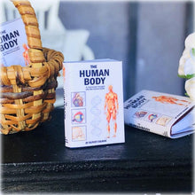 Dollhouse miniature anatomy laboratory human body book