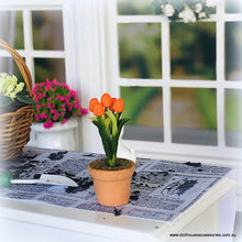 Dollhouse orange tulip in pot