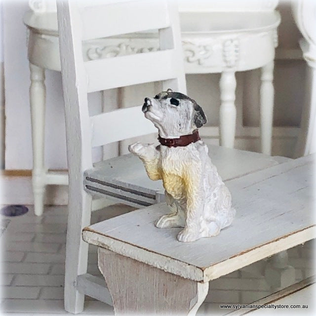 Jack Russell Terrier Sitting - Miniature