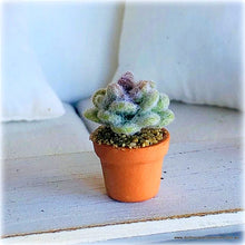 Dollhouse miniature cactus succulent cacti