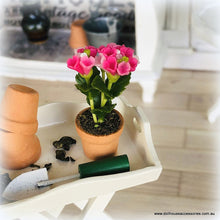 Dollhouse flower pink in pot