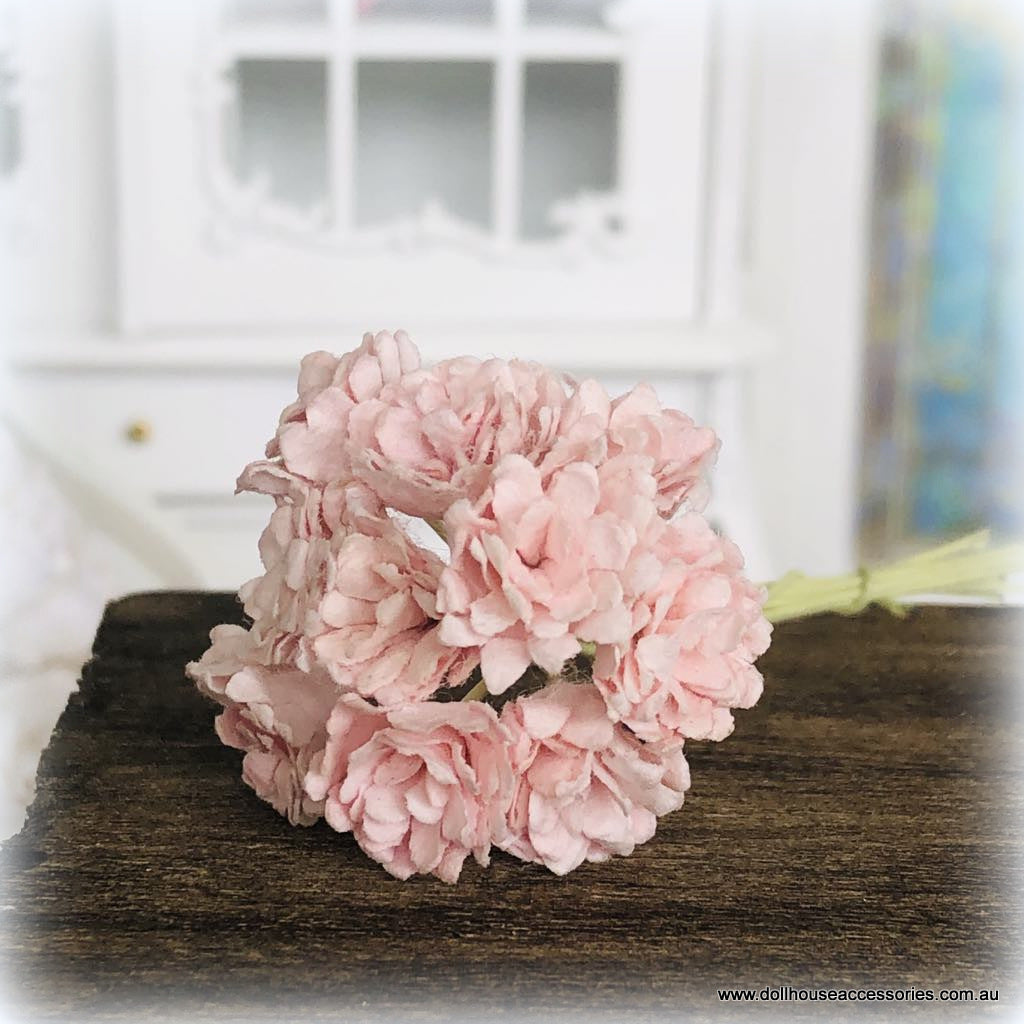 Blush Pink Gypsophilia - Miniature