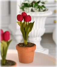 Dollhouse miniature tulip in pot