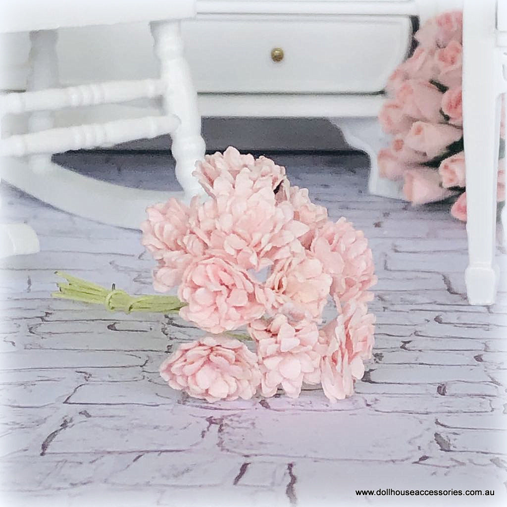 Blush Pink Gypsophilia - Miniature