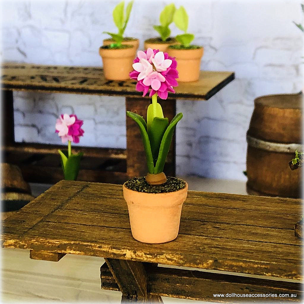 Dollhouse minaiture pink hyacinth flower in pot