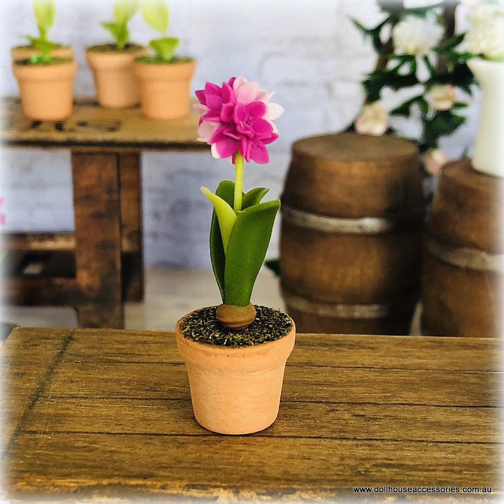 Dollhouse minaiture pink hyacinth flower in pot