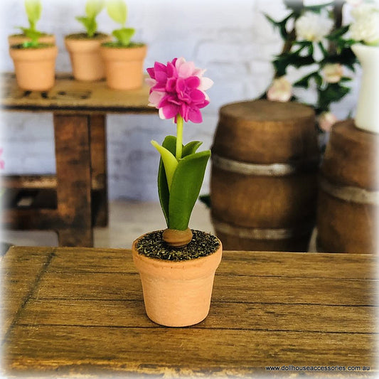 Dollhouse minaiture pink hyacinth flower in pot