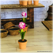 Pink Hyacinth in Pot - Miniature