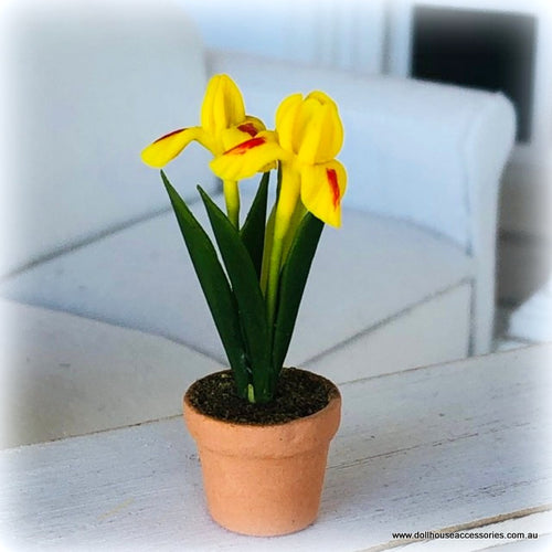 Dollhouse miniature yellow iris flower