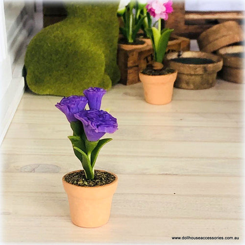 Dollhouse purple carnation flower in pot