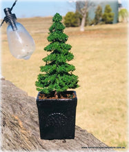 Dollhouse miniature planter pot with tree
