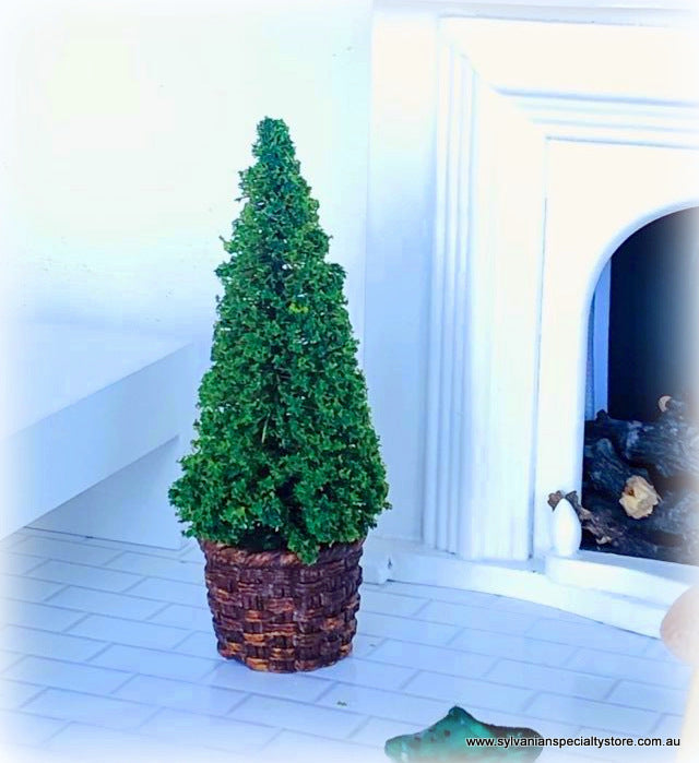 Conifer Tree in Wicker-Style Pot - 8 cm high - Miniature