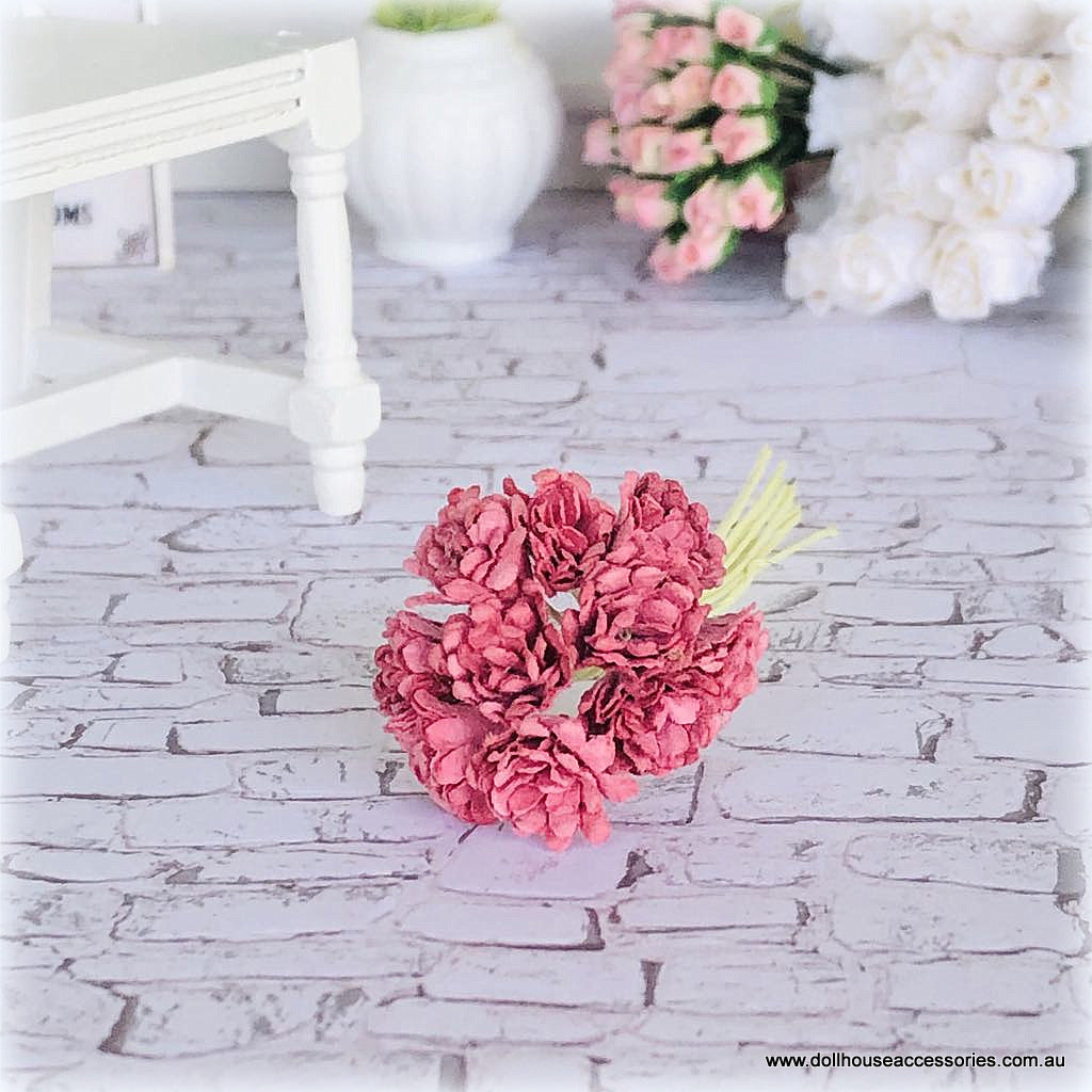 Carmine Pink Gypsophilia - Miniature