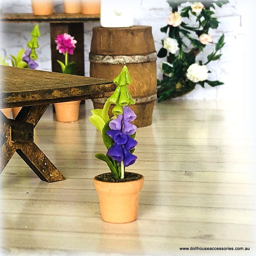 Dollhouse foxglove flower plant miniature