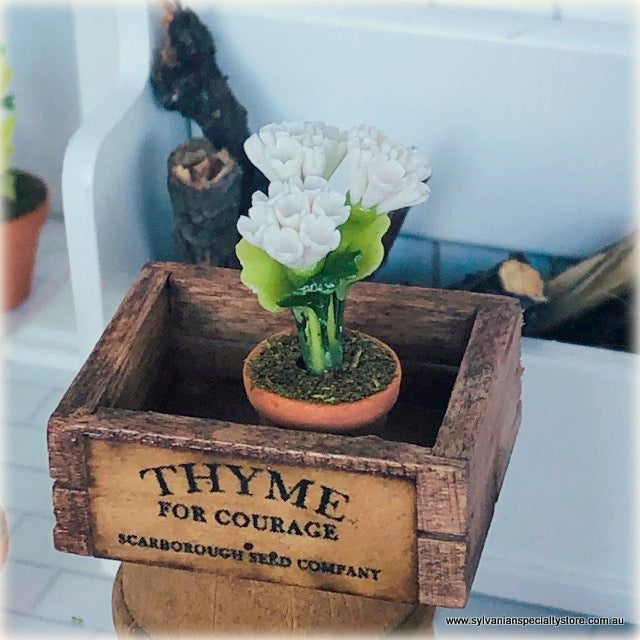 White Flower in Pot - Miniature