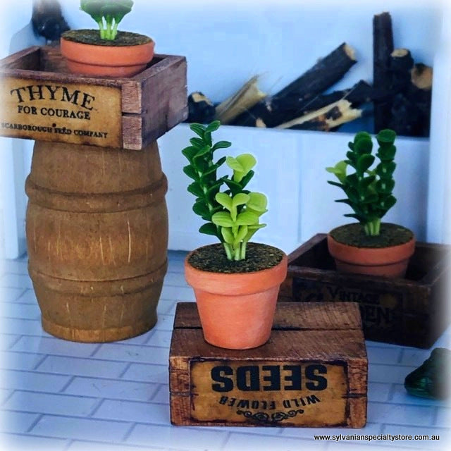 Dollhouse garden houseplant accessories