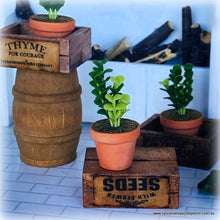 Dollhouse garden houseplant accessories