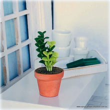 Dollhouse garden houseplant accessories