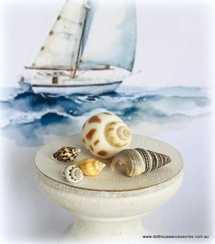 Dollhouse miniature tiny sea shells nautical diorama