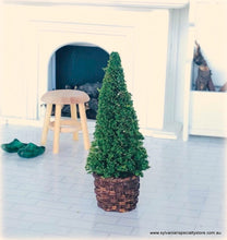 Conifer Tree in Wicker-Style Pot - 8 cm high - Miniature