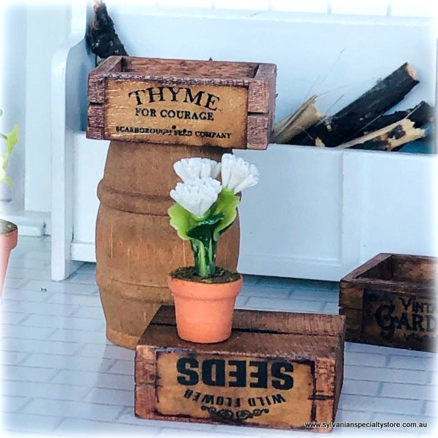 White Flower in Pot - Miniature