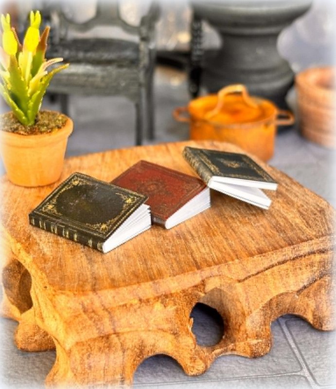 Set of 3 Books - Old style - Miniature