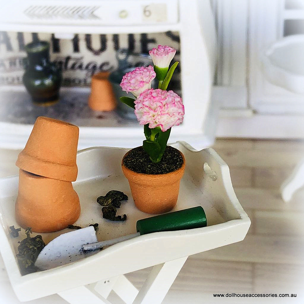 Pink and White Carnation in Pot - Miniature