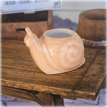 Apricot Snail Planter Pot - Miniature