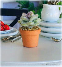 Dollhouse miniature cactus succulent cacti