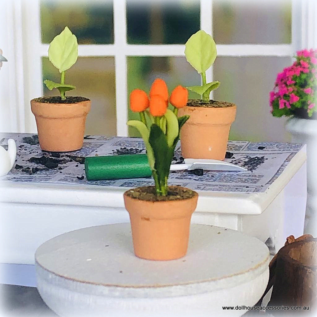 Dollhouse orange tulip in pot
