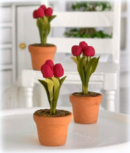 Maroon Tulip in Pot - Miniature