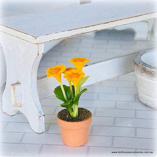 Daisy Gerbera - Yellow/Orange - Miniature