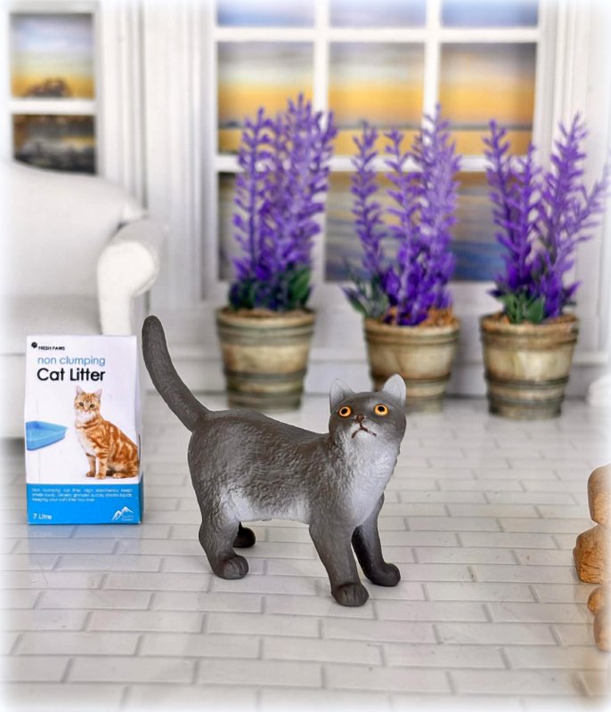 Schleich British shorthair cat