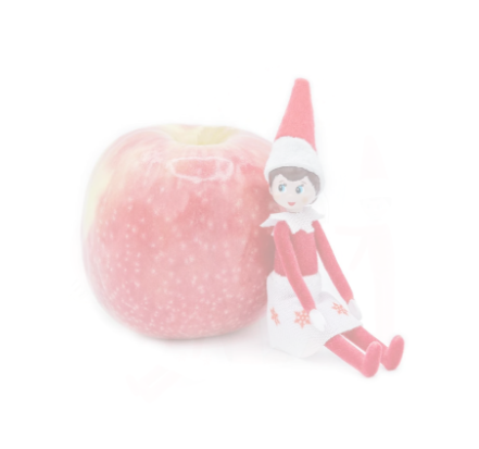 World's Smallest Elf - Girl Elf - 10 cm when standing