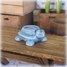 Turtle Planter Pot - Blue