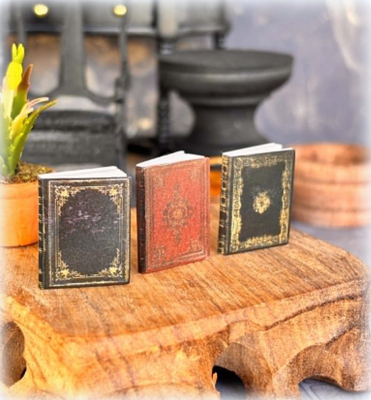 Set of 3 Books - Old style - Miniature