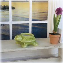 Turtle Planter Pot - Green