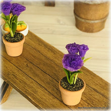 Purple Carnation in Pot - Miniature